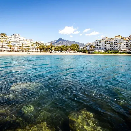 Banus - Lis Banus *