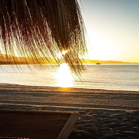 Banus - Lis Banus *